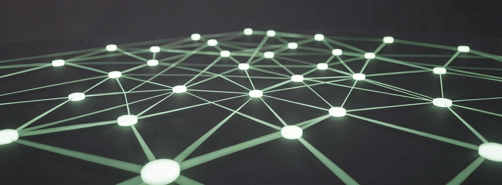 Integrated Data Networks